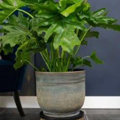 Aico Plant Pot - Shiny Blue -Indoor Plant Store Aico shiny blue 02