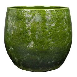 Aimee Plant Pot - Pear -Indoor Plant Store Aimee Plant Pot Pear