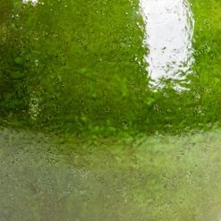 Aimee Plant Pot - Pear -Indoor Plant Store Aimee Plant Pot Pear SWATCH2