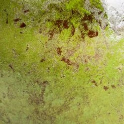 Aimee Plant Pot - Pear -Indoor Plant Store Aimee Plant Pot Pear SWATCH3