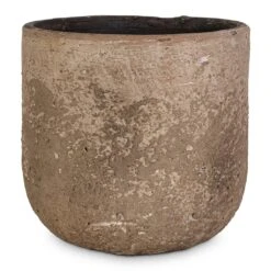 Albero Plant Pot - Cement -Indoor Plant Store Albero Plant Pot Cement 16x14cm c1509482 b7a3 4670 8e6e 570ba6012564