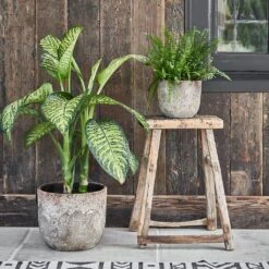 Albero Plant Pot - Cement -Indoor Plant Store Albero Plant Pot Cement 28 x 26cm