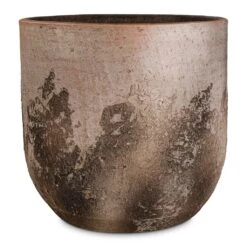 Albero Plant Pot - Cement -Indoor Plant Store Albero Plant Pot Cement 28x26cm 28706681 8e92 439f a7a0 1542d380a061