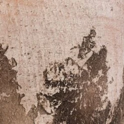 Albero Plant Pot - Cement -Indoor Plant Store Albero Plant Pot Cement DETAIL