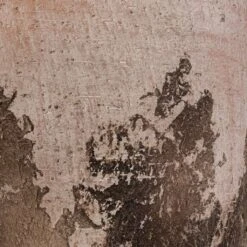 Albero Plant Pot - Cement -Indoor Plant Store Albero Plant Pot Cement DETAIL d465160c 8621 4f6c 825c 263e6430a47d