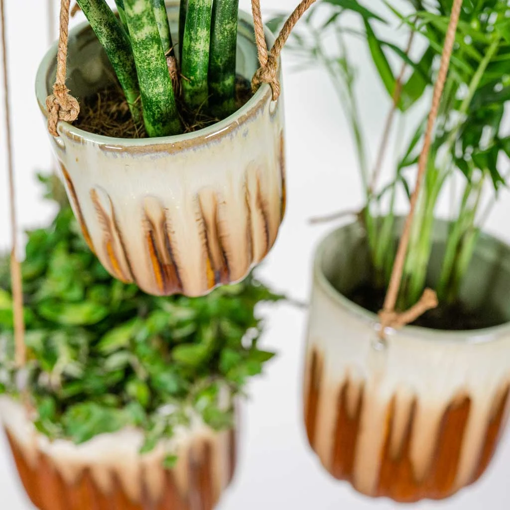 Alice Hanging Plant Pots - Set Of 3 - Caramel 2 Alice Hanging Plant Pots - Set Of 3 - Caramel - Image 2
