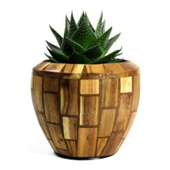 Facets Couple Planter - Jenga -Indoor Plant Store Aloe aristata Cosmo Facets Couple Planter Jenga