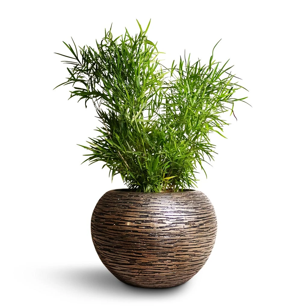 Luxe Lite Wrinkle Globe Planter - Bronze 7 Luxe Lite Wrinkle Globe Planter - Bronze - Image 7