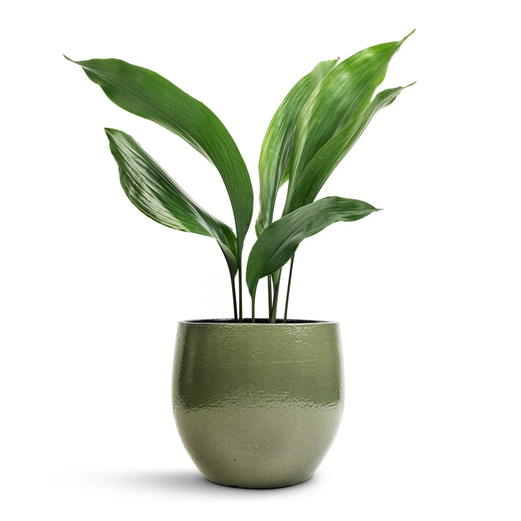 Zembla Plant Pot - Green 9 Zembla Plant Pot - Green - Image 9
