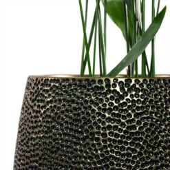 Opus Hit Darcy Planter - Gold 30 Opus Hit Darcy Planter - Gold -Indoor Plant Store Aspidistra Cast Iron Plant Opus Hit Darcy Planter Gold Close Up