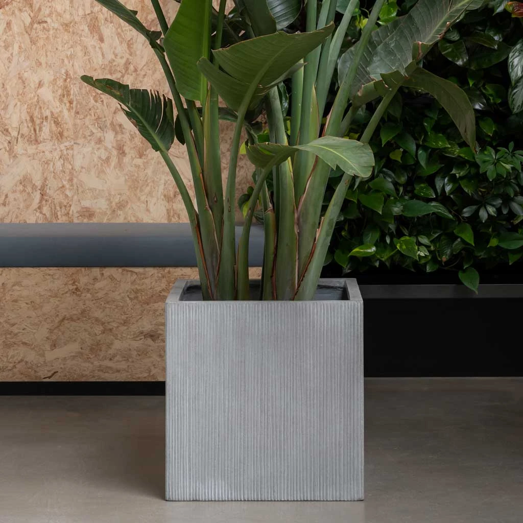 Block Planter - Ridged Cement 2 Block Planter - Ridged Cement - Image 2