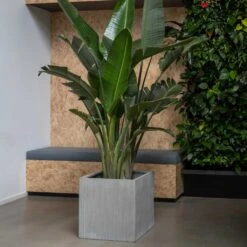 Block Planter - Ridged Cement 11 Block Planter - Ridged Cement -Indoor Plant Store Block Planter Ridged Cement 4