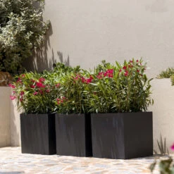 Block Natural Planter - Black 13 Block Natural Planter - Black -Indoor Plant Store BlockNaturalPlanter Black 2