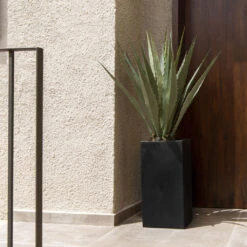 Bouvy Natural Planter - Black 12 Bouvy Natural Planter - Black -Indoor Plant Store Bouvy Natural Planter Black Lifestyle