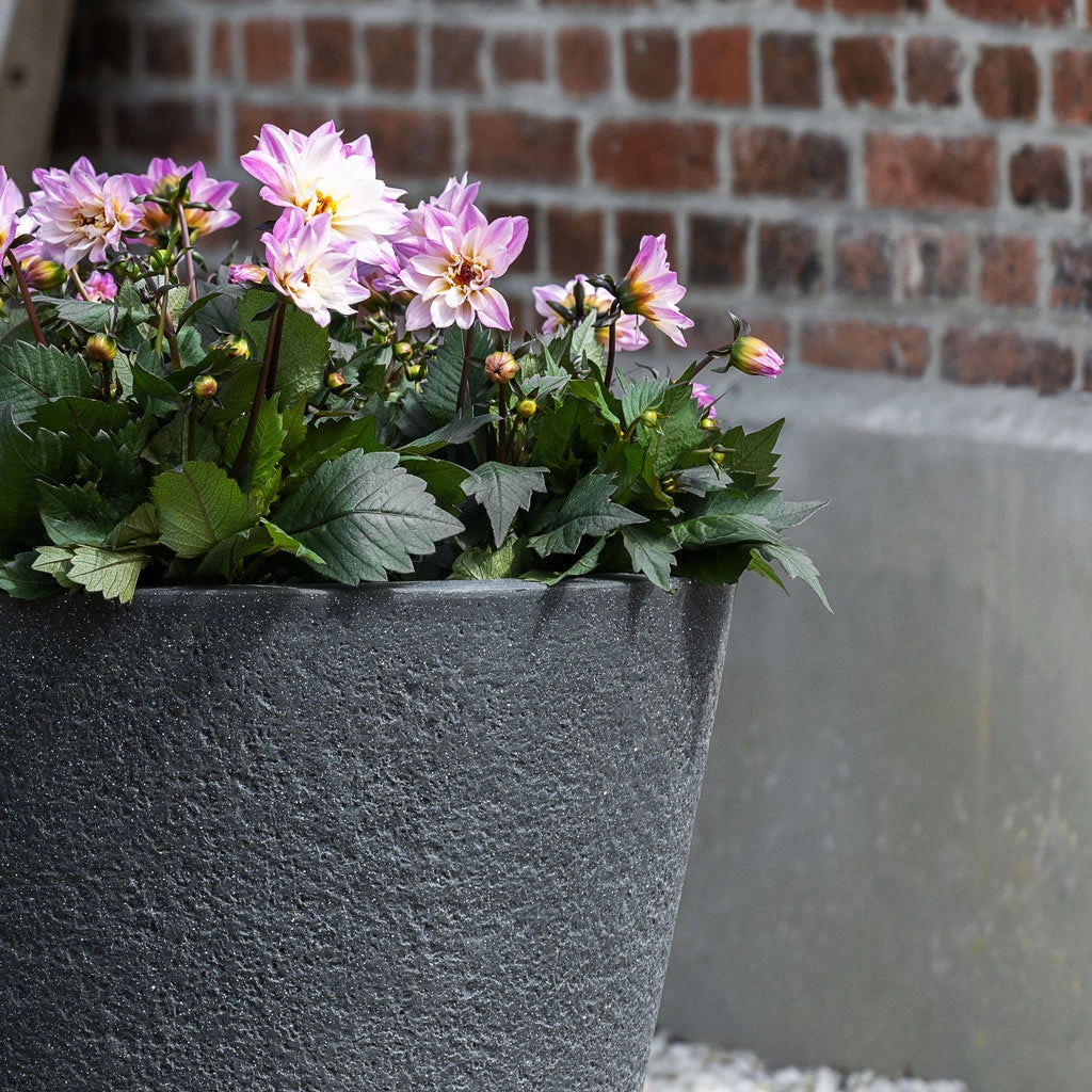 Bucket Granite Planter - Midnight Black 3 Bucket Granite Planter - Midnight Black - Image 3