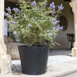 Bucket Natural Planter - Black 18 Bucket Natural Planter - Black -Indoor Plant Store Bucket Natural Planter Black 2