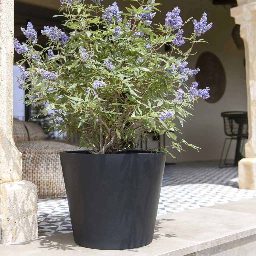 Bucket Natural Planter - Black 9 Bucket Natural Planter - Black - Image 9
