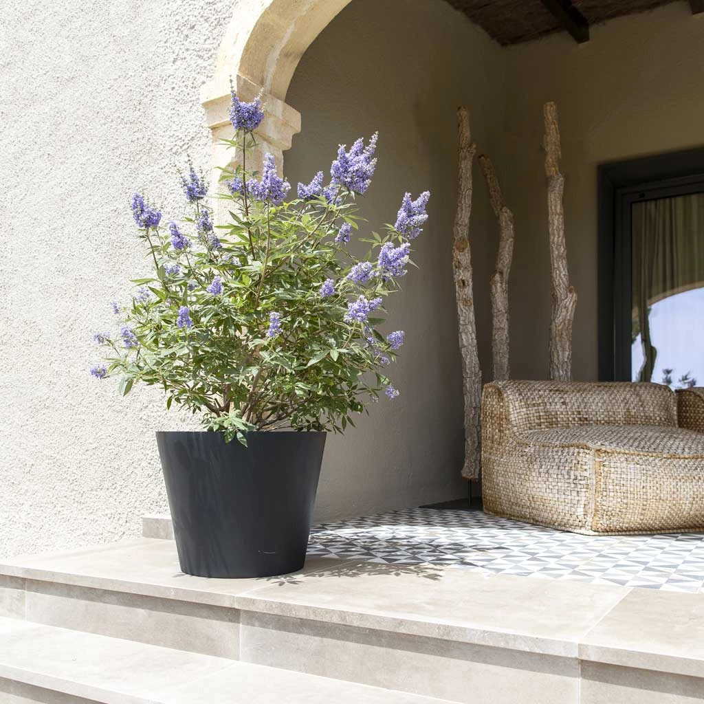 Bucket Natural Planter - Black 6 Bucket Natural Planter - Black - Image 6