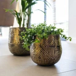 Calvin Metal Plant Pots - Set Of 3 - Matt Gold -Indoor Plant Store Calvin Metal Plant Pots Set of 3 Matt Gold 2