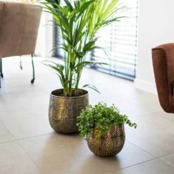 Calvin Metal Plant Pots - Set Of 3 - Matt Gold -Indoor Plant Store Calvin Metal Plant Pots Set of 3 Matt Gold 3