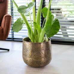 Calvin Metal Plant Pots - Set Of 3 - Matt Gold -Indoor Plant Store Calvin Metal Plant Pots Set of 3 Matt Gold 4