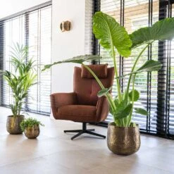 Calvin Metal Plant Pots - Set Of 3 - Matt Gold -Indoor Plant Store Calvin Metal Plant Pots Set of 3 Matt Gold 6