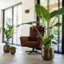 Calvin Metal Plant Pots - Set Of 3 - Matt Gold -Indoor Plant Store Calvin Metal Plant Pots Set of 3 Matt Gold 7