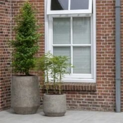 Harith Cement & Stone Plant Pot - Granite Grey -Indoor Plant Store Cement Stone Harith Plant Pot lifestyle