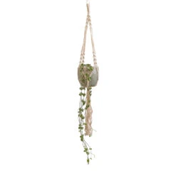 Macrame Hanging Plant Pot -Indoor Plant Store Ceropegia woodii String of Hearts 10x20cm Macrame Hanging Plant Pot 12x10cm 2 5060628a 2d2e 4eae 852d 2589e83c0a60