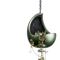 Gradient Hanging Cocoon - Matt Forest 15 Gradient Hanging Cocoon - Matt Forest -Indoor Plant Store Ceropegia woodii String of Hearts 11x20cm Gradient Hanging Cocoon Matt Forest 20x24cm