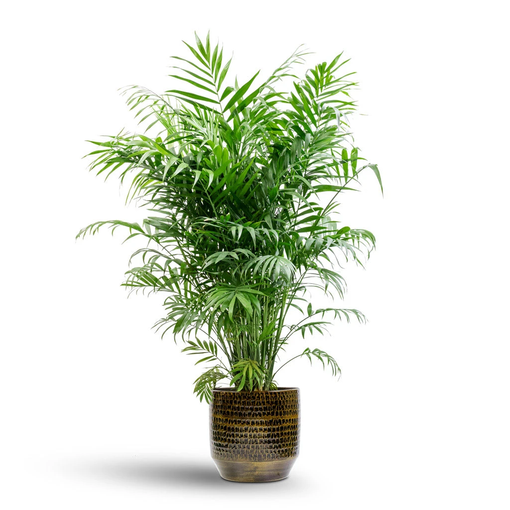 Sanna Plant Pot - Savanna 15 Sanna Plant Pot - Savanna - Image 15