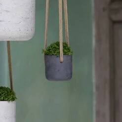 Charlie Hanging Plant Pot - Black Washed 11 Charlie Hanging Plant Pot - Black Washed -Indoor Plant Store Charlie Hanging Plant Pots Black Washed Houseplants