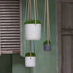 Charlie Hanging Plant Pot - Grey Washed -Indoor Plant Store Charlie Hanging Plant Pots Houseplants