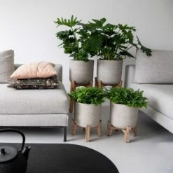 Charlie Plant Pot - Tall Stand - Grey Washed -Indoor Plant Store Charlie Plant Pot Tall Stand Grey Washed Lifestyle 02