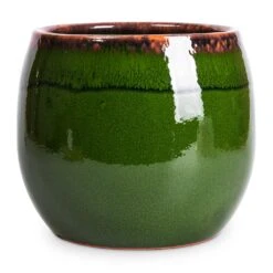 Charlotte Plant Pot - Green 28 Charlotte Plant Pot - Green -Indoor Plant Store Charlotte Plant Pot Green 19x16cm