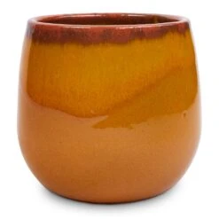 Charlotte Plant Pot - Spiced Ochre 19 Charlotte Plant Pot - Spiced Ochre -Indoor Plant Store Charlotte Plant Pot Ochre 15x13cm