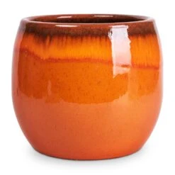 Charlotte Plant Pot - Orange 26 Charlotte Plant Pot - Orange -Indoor Plant Store Charlotte Plant Pot Orange 33x30cm