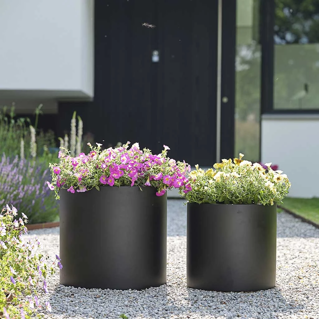 Charm Planter - Black 2 Charm Planter - Black - Image 2