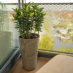 Claire Artstone Tall Planter - Grey -Indoor Plant Store Claire Artstone Tall Planter Grey 4