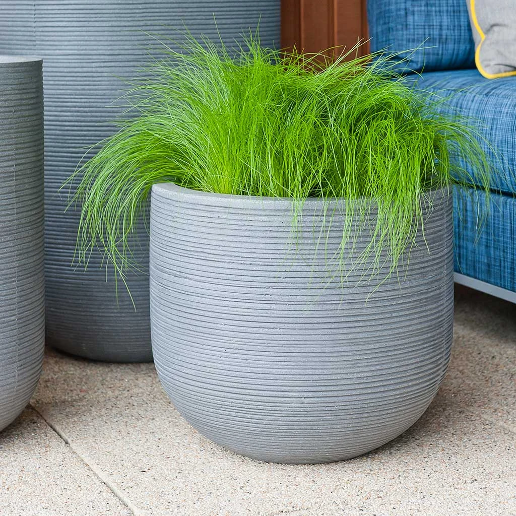 Cody Plant Pot - Ridged Dark Grey 8 Cody Plant Pot - Ridged Dark Grey - Image 8
