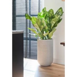 Cody Plant Vase - Ridged Cement 13 Cody Plant Vase - Ridged Cement -Indoor Plant Store Cody Plant Vase Ridged Cement Dieffenbachia