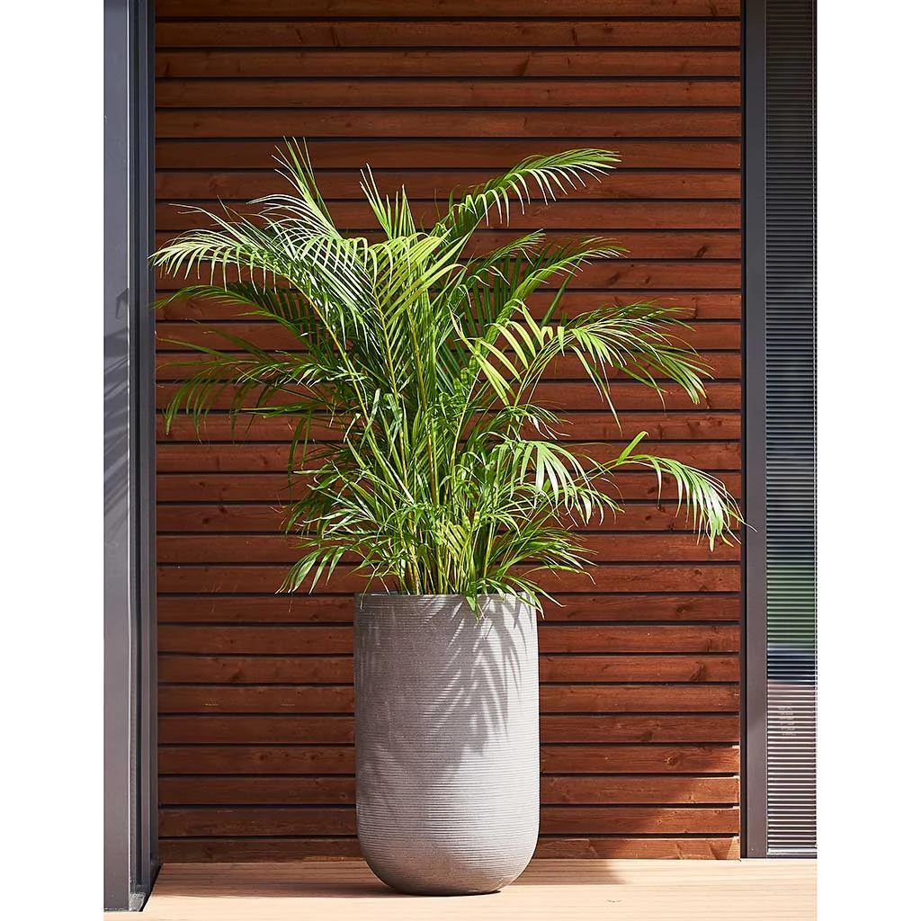 Cody Plant Vase - Ridged Cement 2 Cody Plant Vase - Ridged Cement - Image 2