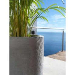 Cody Plant Vase - Ridged Dark Grey 34 Cody Plant Vase - Ridged Dark Grey -Indoor Plant Store Cody Tall Planter Ridged Dark Grey Areca Palm