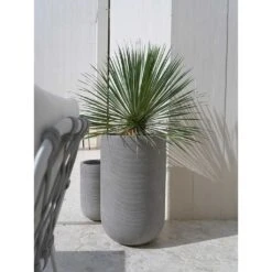Cody Plant Vase - Ridged Dark Grey 30 Cody Plant Vase - Ridged Dark Grey -Indoor Plant Store Cody Tall Planter Ridged Dark Outdoor Palm