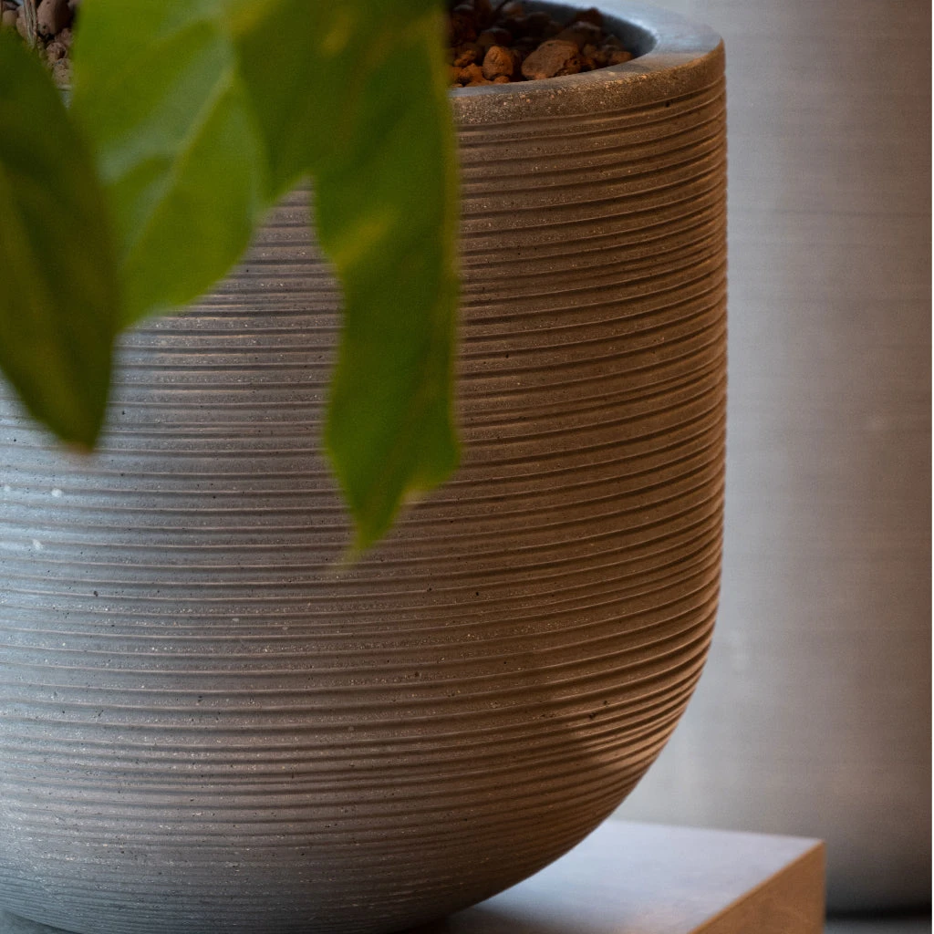 Cody Plant Pot - Ridged Dark Grey 7 Cody Plant Pot - Ridged Dark Grey - Image 7