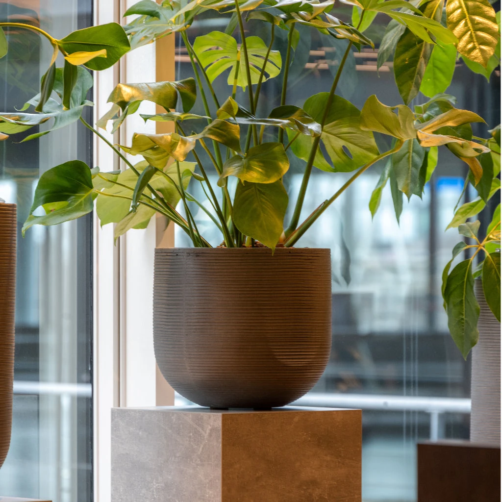 Cody Plant Pot - Ridged Dark Grey 12 Cody Plant Pot - Ridged Dark Grey - Image 12