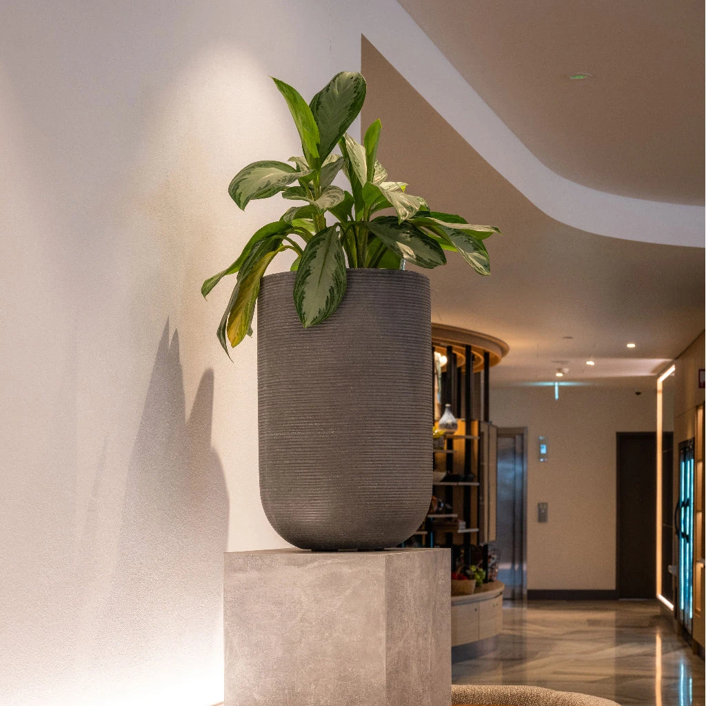 Cody Plant Vase - Ridged Dark Grey 17 Cody Plant Vase - Ridged Dark Grey - Image 17