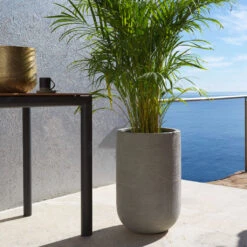 Cody Plant Vase - Ridged Dark Grey 33 Cody Plant Vase - Ridged Dark Grey -Indoor Plant Store CodyPlantVase RidgedDarkGrey 2