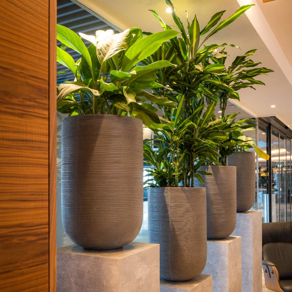 Cody Plant Vase - Ridged Dark Grey 2 Cody Plant Vase - Ridged Dark Grey - Image 2