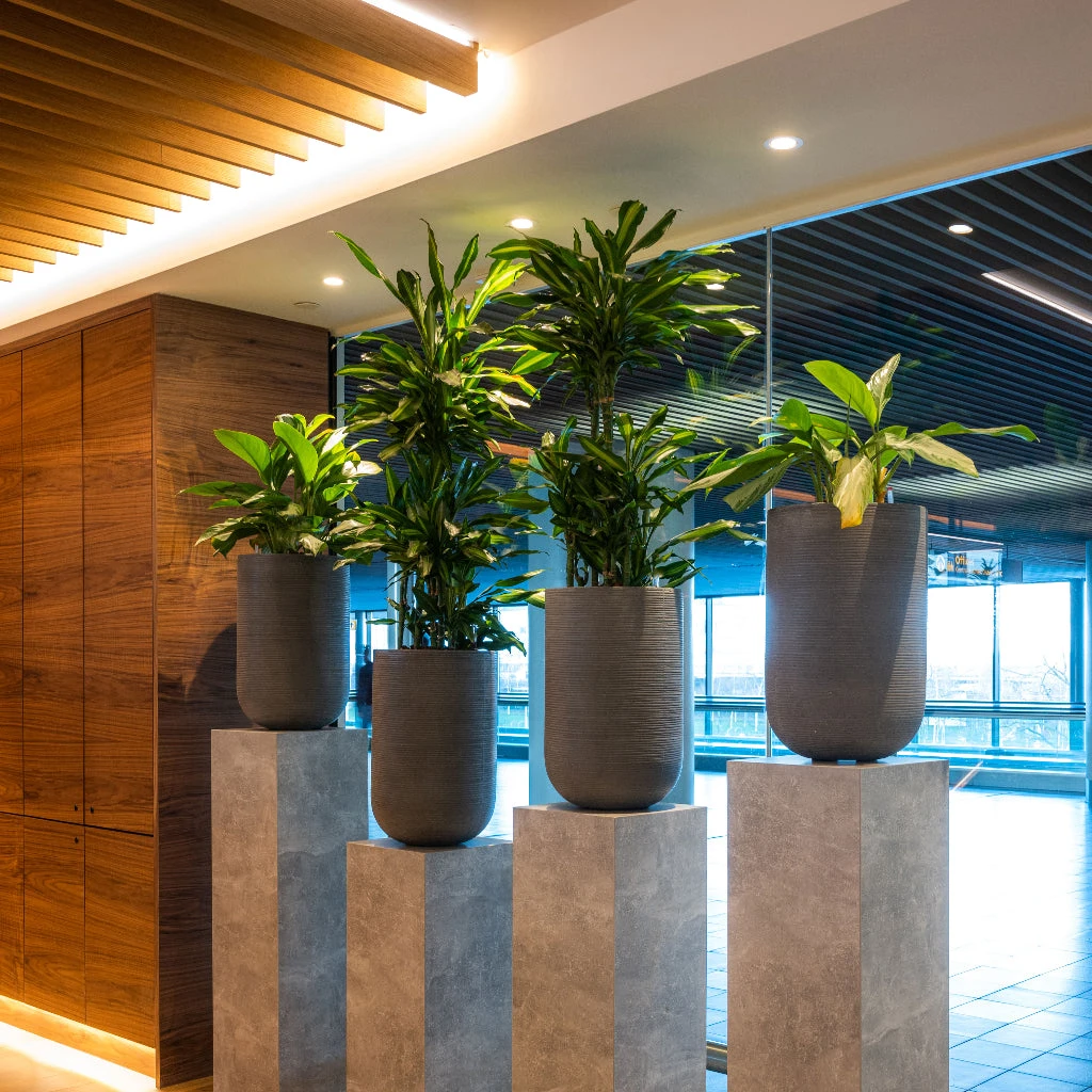 Cody Plant Vase - Ridged Dark Grey 7 Cody Plant Vase - Ridged Dark Grey - Image 7